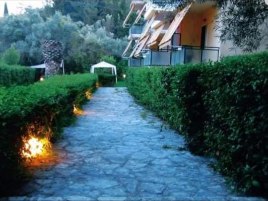 Guesthouse Emi Lygia  Ngoại thất bức ảnh